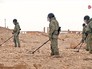 Саперы работают в исторической части Пальмиры Саперы работают в исторической части Пальмиры