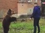 Житель Таганрога выгуливает медведя Житель Таганрога выгуливает медведя