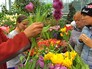 Посетителям раздают цветы в "Аптекарском огороде" Посетителям раздают цветы в "Аптекарском огороде"