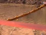 Выставленные боновые заграждения в месте загрязнения водоема Выставленные боновые заграждения в месте загрязнения водоема