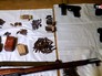 Изъятый арсенал оружия Изъятый арсенал оружия