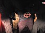 Задержанный преступник Задержанный преступник