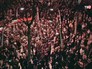 Митинг во Франции Митинг во Франции