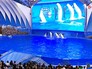 Приморский океанариум Приморский океанариум