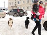 Собаки нападают на людей Собаки нападают на людей