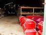 Подготовка к перезахоронению останков советских солдат Подготовка к перезахоронению останков советских солдат