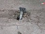 Последствия обстрела жилых районов Донбасса Последствия обстрела жилых районов Донбасса