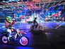 Фестиваль экстремальных видов спорта Фестиваль экстремальных видов спорта