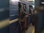 Взрыв в метро Санкт-Петербурга Взрыв в метро Санкт-Петербурга