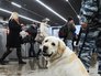 Сотрудник полиции на станции московского метро Сотрудник полиции на станции московского метро