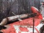 На месте крушения польского правительственного самолета Ту-154 под Смоленском На месте крушения польского правительственного самолета Ту-154 под Смоленском