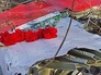 На месте крушения польского правительственного самолета Ту-154 под Смоленском На месте крушения польского правительственного самолета Ту-154 под Смоленском