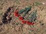 Церемония перезахоронения останков советских солдат Церемония перезахоронения останков советских солдат