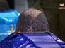Церемония перезахоронения останков советских солдат Церемония перезахоронения останков советских солдат