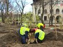 Озеленение территории "Лужников" Озеленение территории "Лужников"