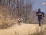 Чемпионат по ездовому спорту Чемпионат по ездовому спорту