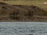 Река в Иркутской области Река в Иркутской области