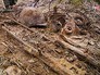 Находки Второй мировой войны на месте раскопок Находки Второй мировой войны на месте раскопок
