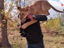 Львица на руках хозяина Львица на руках хозяина