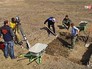 Археологические раскопки в Крыму Археологические раскопки в Крыму