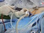 Работа хирургов Работа хирургов