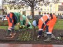 Работы по озеленению Работы по озеленению