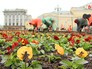Работы по озеленению в Москве Работы по озеленению в Москве