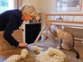 Марин Ле Пен с кошками Марин Ле Пен с кошками
