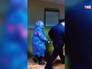 Задержанная по подозрению в убийстве приемного сына Задержанная по подозрению в убийстве приемного сына