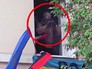 Украинский радикал целится из гранатомета по участникам акции "Бессмертный полк" Украинский радикал целится из гранатомета по участникам акции "Бессмертный полк"