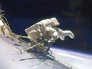 Астронавты NASA вышли в открытый космос из МКС Астронавты NASA вышли в открытый космос из МКС