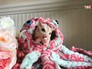 Жизнь животных в соцсетях Жизнь животных в соцсетях