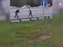 Водители помогают уткам перейти дорогу Водители помогают уткам перейти дорогу