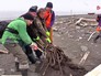 Спасатели МЧС и волонтеры убирают мусор на берегу моря Спасатели МЧС и волонтеры убирают мусор на берегу моря