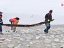 Спасатели и волонтеры убрали мусор на острове Тюленей Спасатели и волонтеры убрали мусор на острове Тюленей