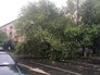 Последствия урагана в Москве Последствия урагана в Москве
