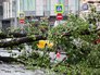 Последствия урагана в Москве Последствия урагана в Москве