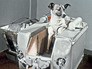 Собака Лайка в контейнере 2-го советского искусственного спутника Земли Собака Лайка в контейнере 2-го советского искусственного спутника Земли