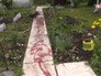 Место убийства под Тверью Место убийства под Тверью