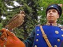 Сокол-сапсан и орнитологическая служба Кремля Сокол-сапсан и орнитологическая служба Кремля