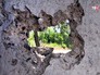 Последствия обстрела жилых районов Донбасса Последствия обстрела жилых районов Донбасса