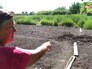 Последствия обстрела жилых районов Донбасса Последствия обстрела жилых районов Донбасса