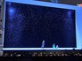 Опера "Снегурочка" в Большом театре Опера "Снегурочка" в Большом театре