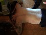 Задержанный владелец подпольного притона Задержанный владелец подпольного притона