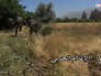 Военные действия в Сирии Военные действия в Сирии