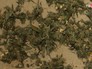 Марихуана в салоне красоты Марихуана в салоне красоты