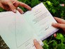Школьный аттестат без печати Школьный аттестат без печати