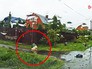 Сбитая бывшим полицейскиим пенсионерка Сбитая бывшим полицейскиим пенсионерка