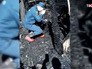 Последствия пожара в Алтайском крае Последствия пожара в Алтайском крае
