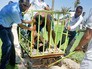 На месте нападения на туристов в Египте На месте нападения на туристов в Египте